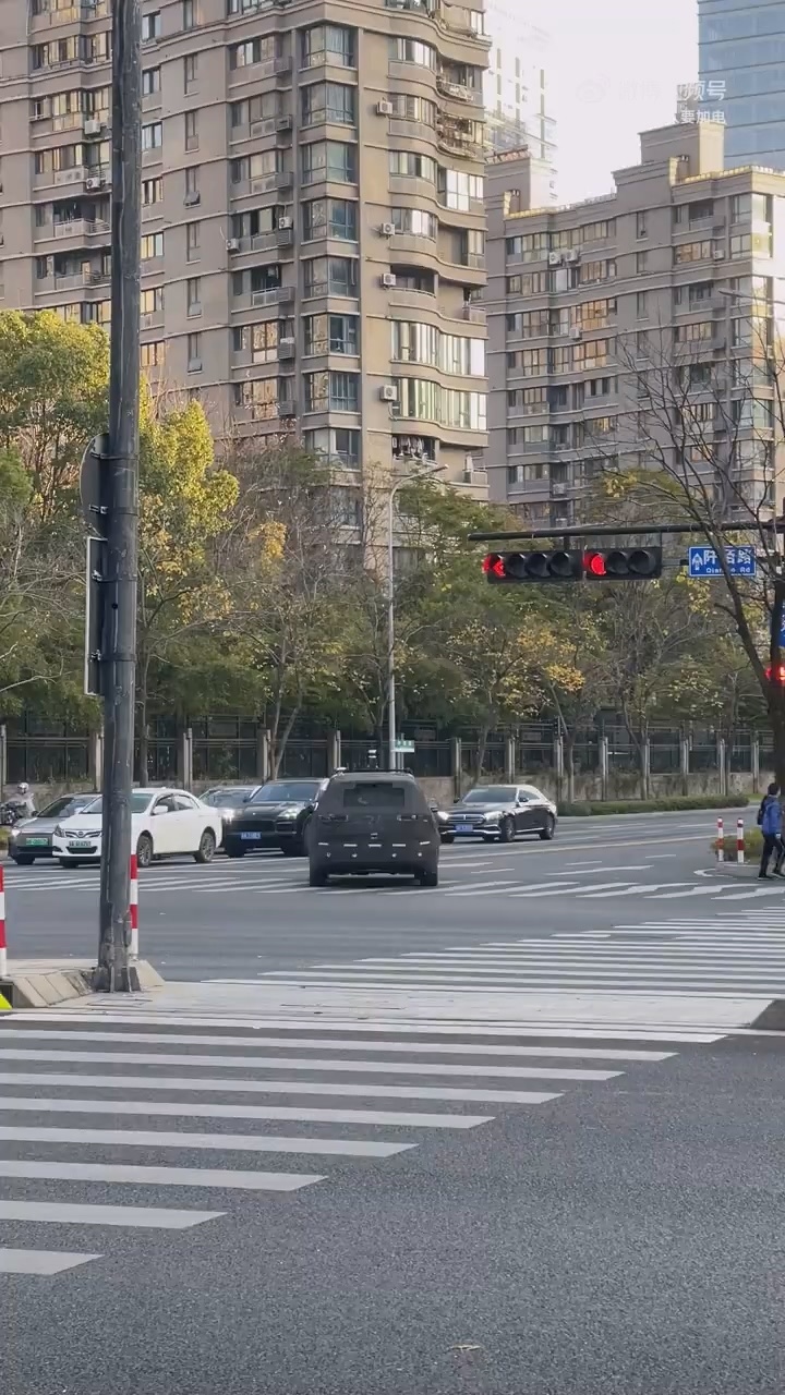 暂时还没看到后轮转向 