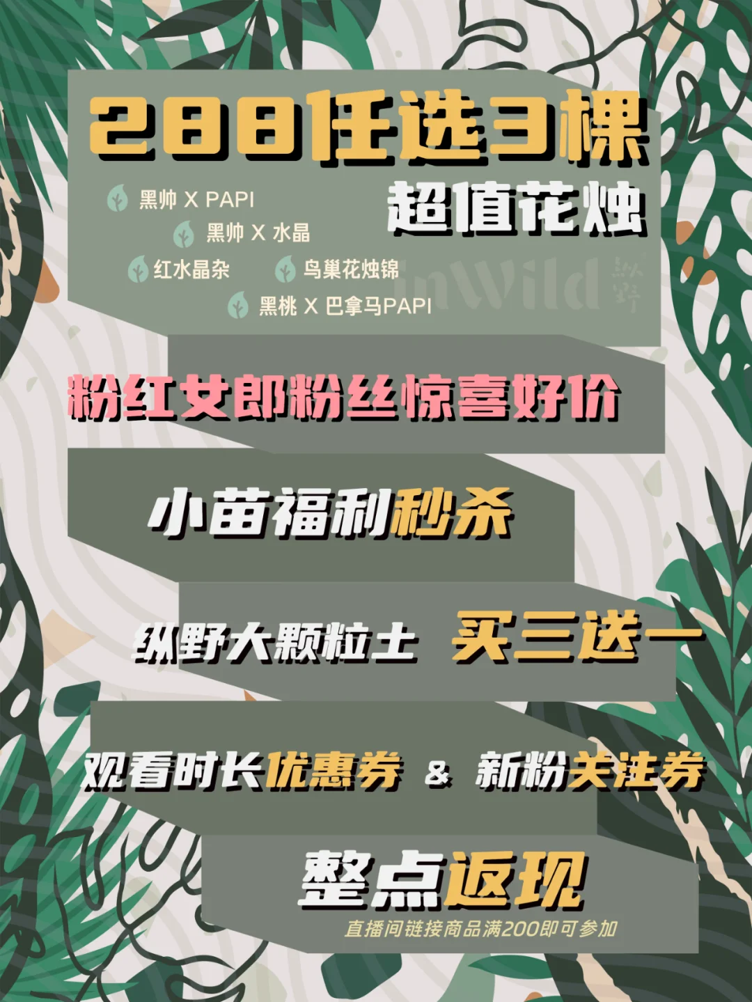 纵野双11宠粉加倍Go！