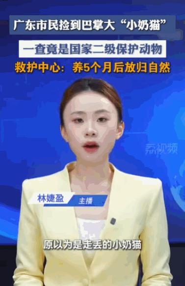 差点牢底坐穿。广东肇庆，一位市民在江边溜达，好心捡了只巴掌大的“小奶猫”，一番核