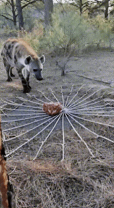 为了一口吃的我容易吗