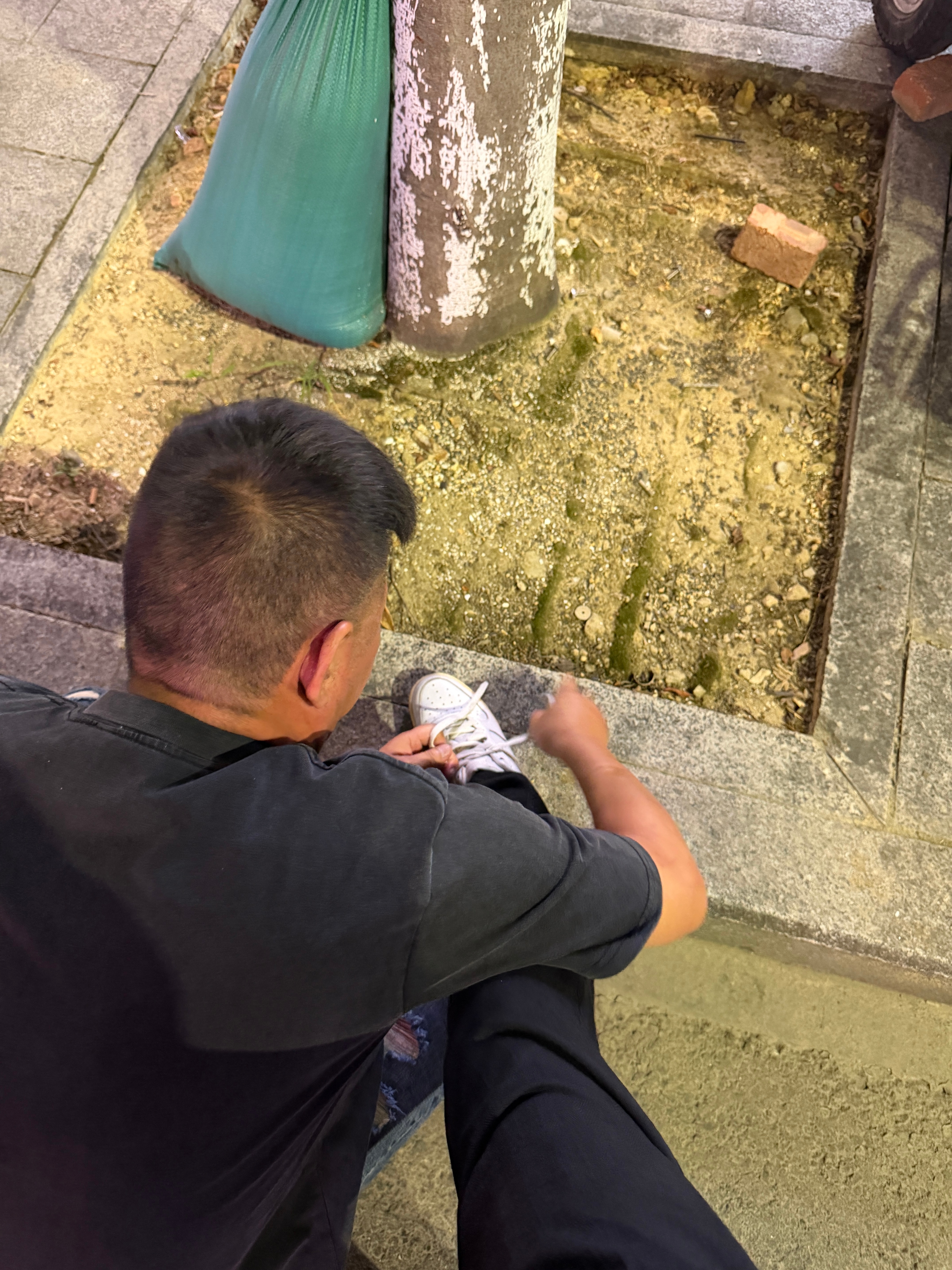 在家当宝来着的 ​​​