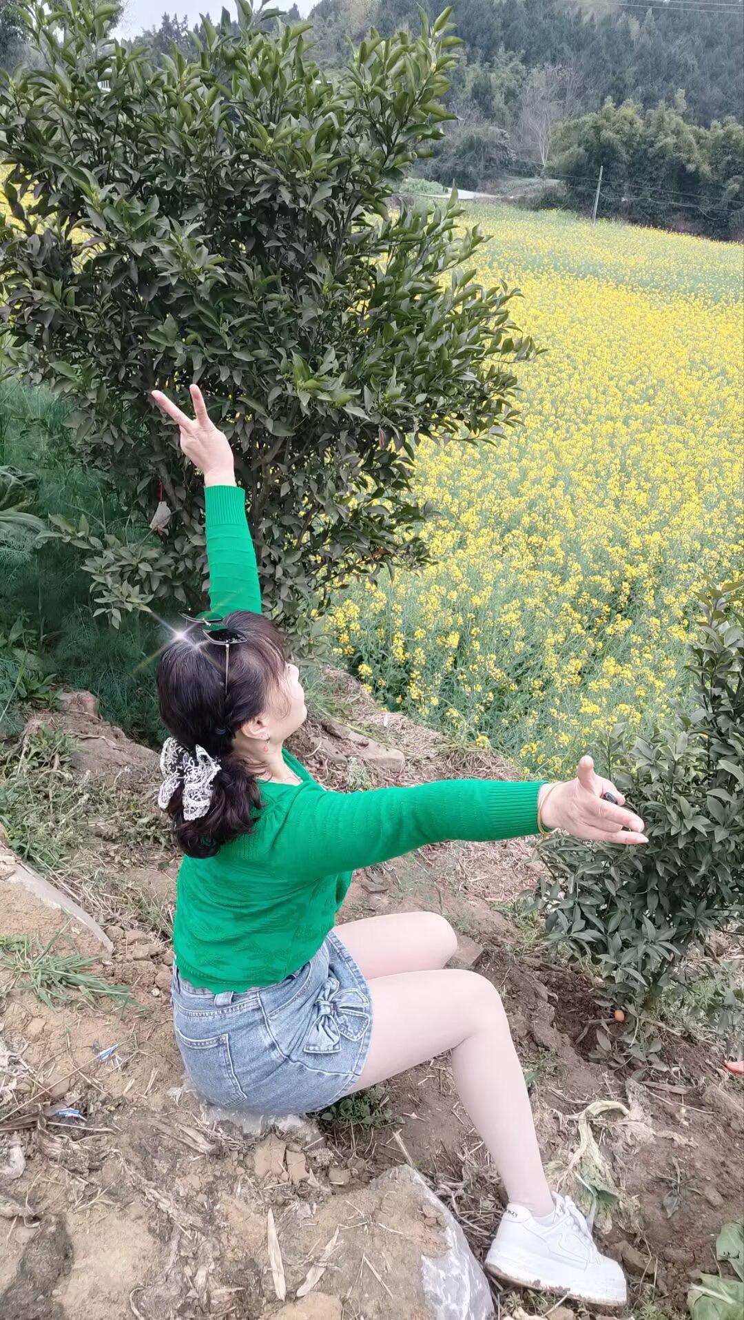 偏偏喜欢你，爱你没道理，我们不停在每个朝夕……