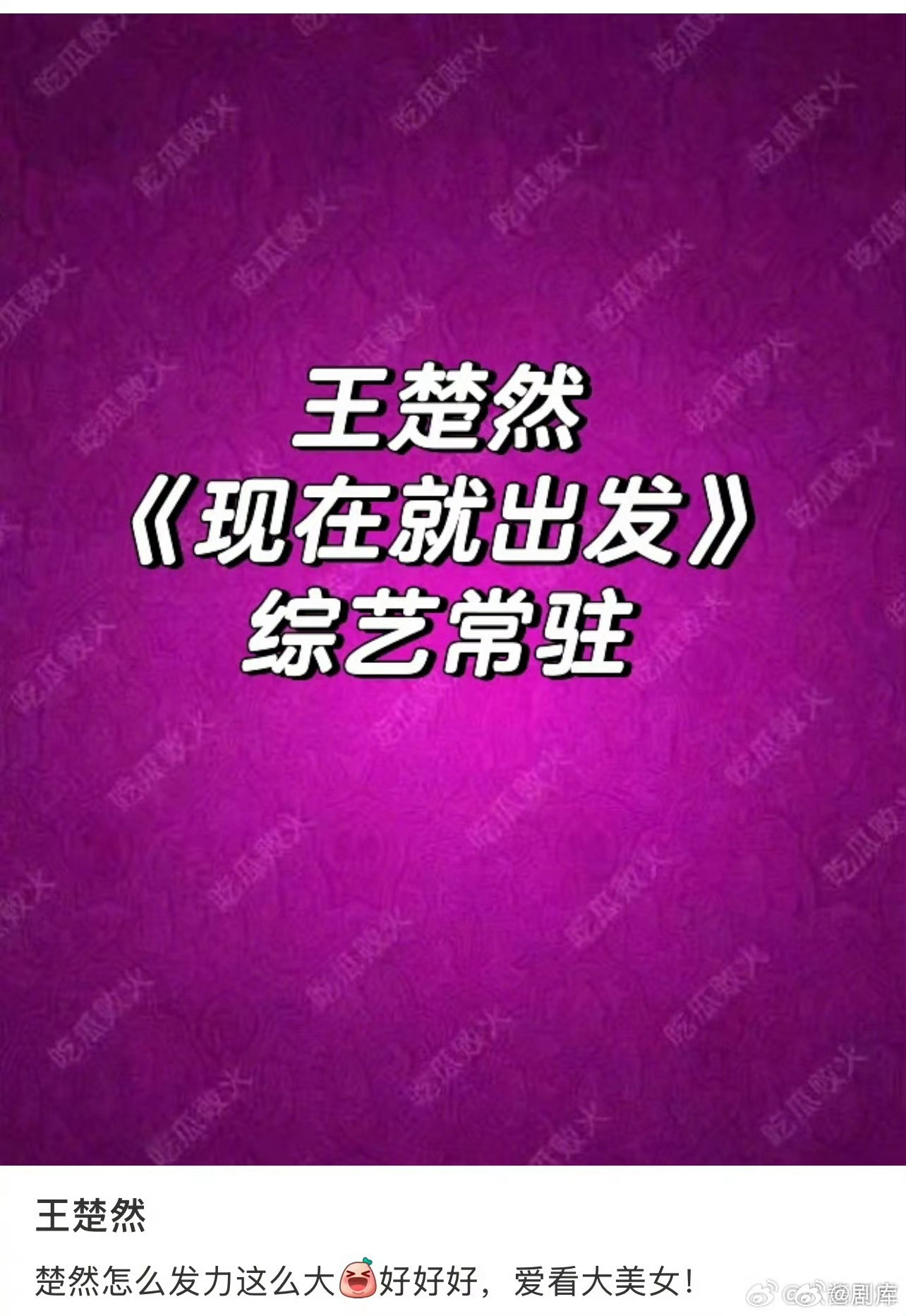 网传现在就出发金晨换王楚然网传王楚然常驻《现在就出发》，替换金晨！王楚然现在就出