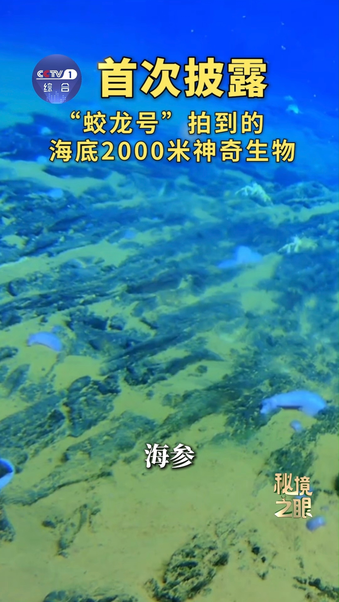 蛟龙号在海底2000米看到了啥 很多人好奇两千米深海究竟是荒芜一片，还是别有洞天