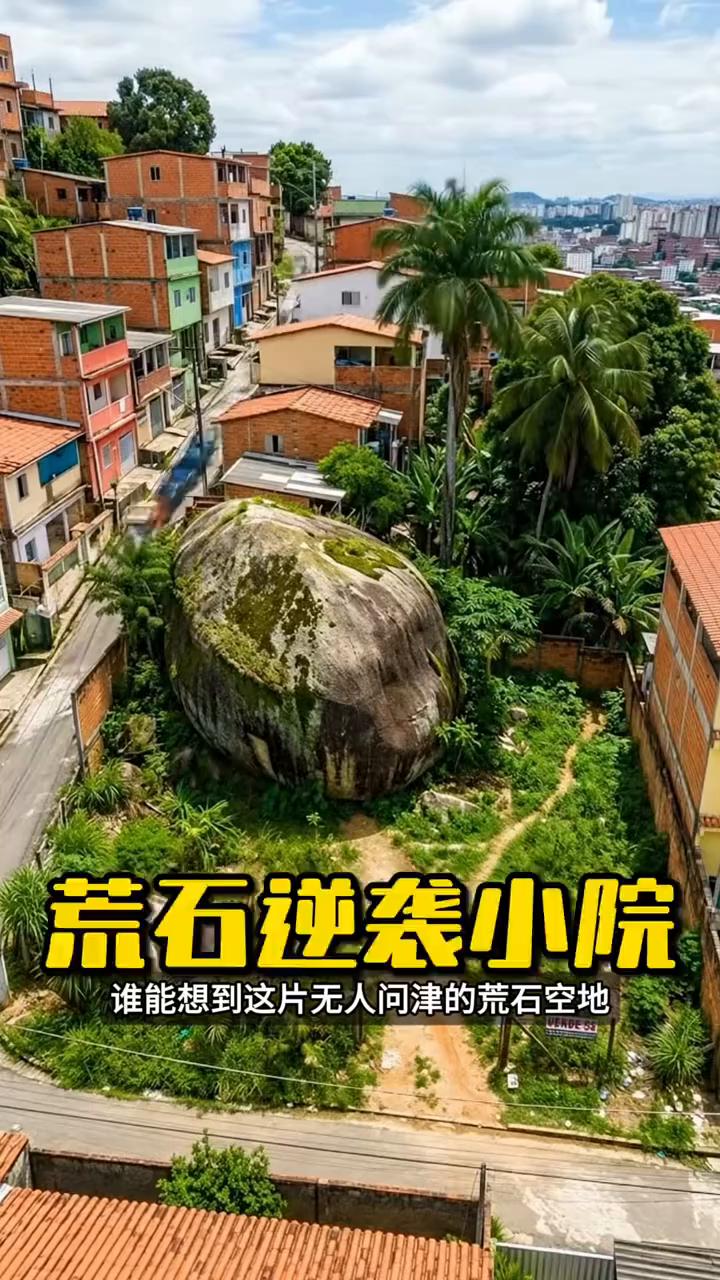 谁能想到这片无人问津的荒石空地竟然被一位老板亲手改造逆袭。
·开工后他先清理掉场