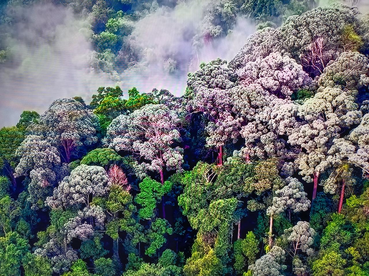 （原创）企业的年轻人都有什么特点？

如果你也是一个企业的老职工，你可能就会发现
