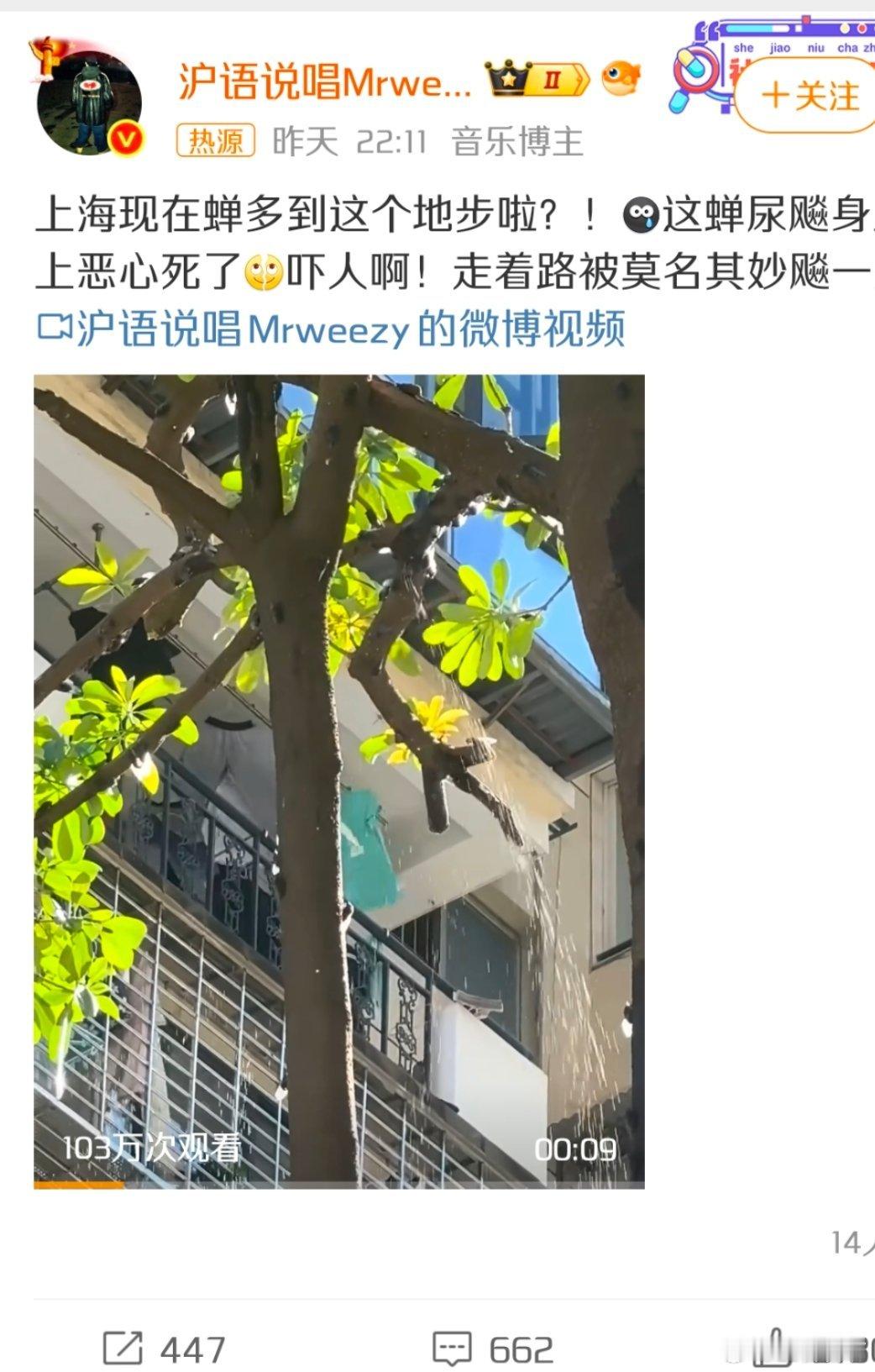 上海蝉尿如下雨看了一下不是上海，这个视频拼接的，原视频是厦门，而且原视频发布时间