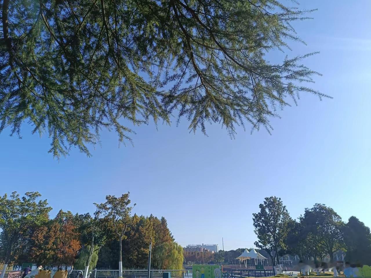 不可取？
是太放纵自己了，是啊！退休了，自由了，送走了生自己的人，自己生的也抚养