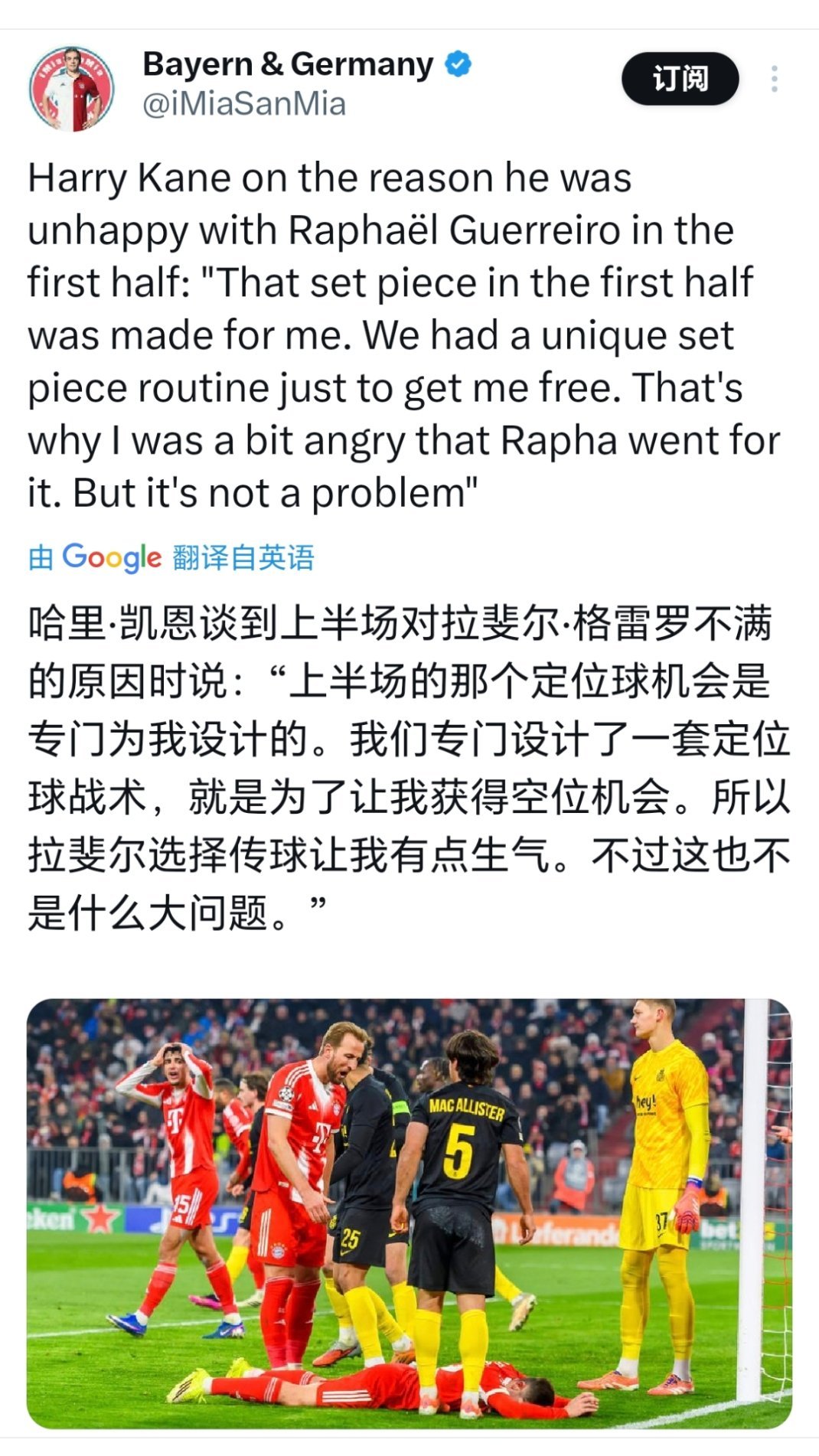 蜜蜂狗格雷罗⬇️ 