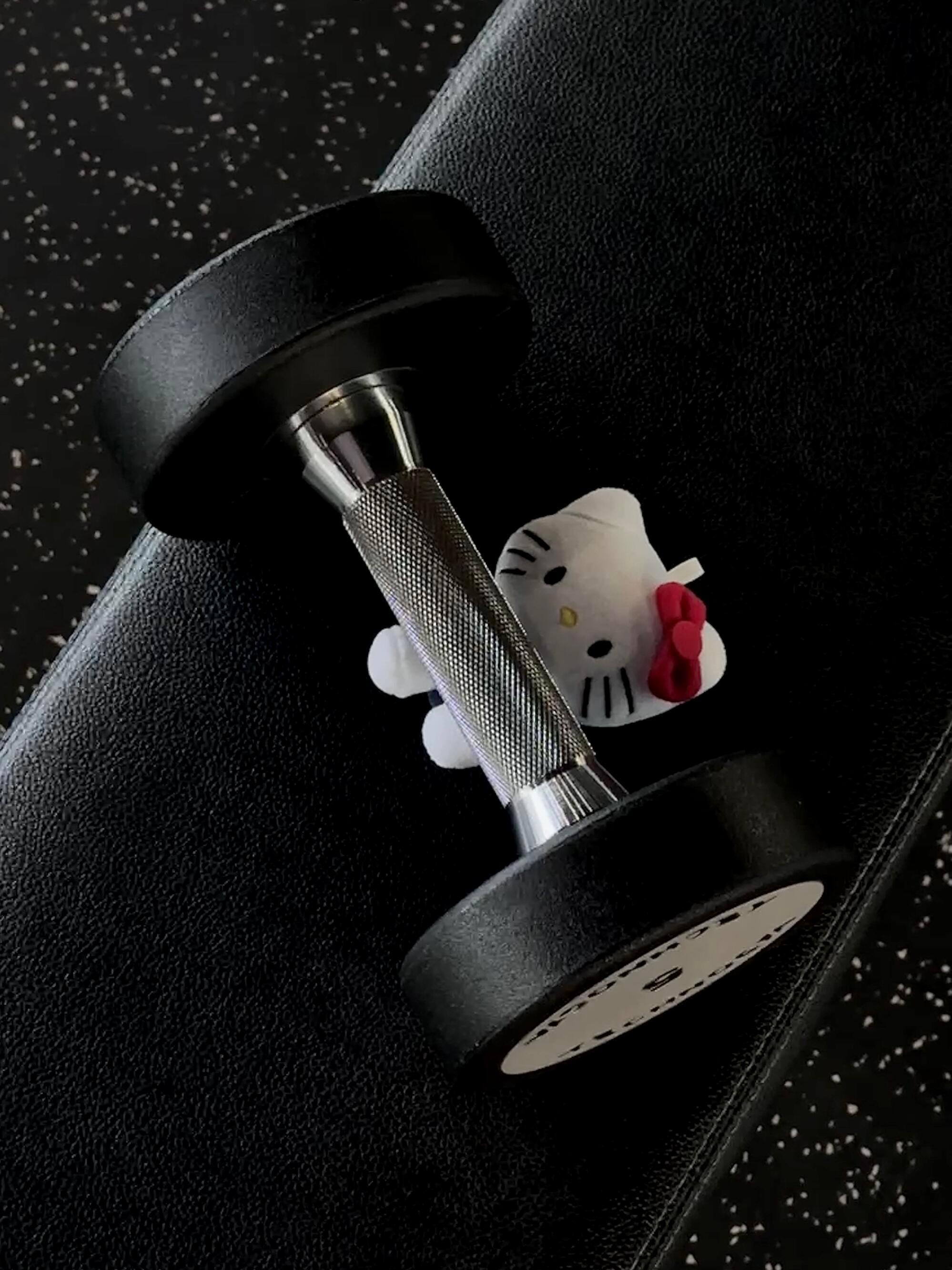 健身kitty 举铁5kg就这么轻轻的碎了 