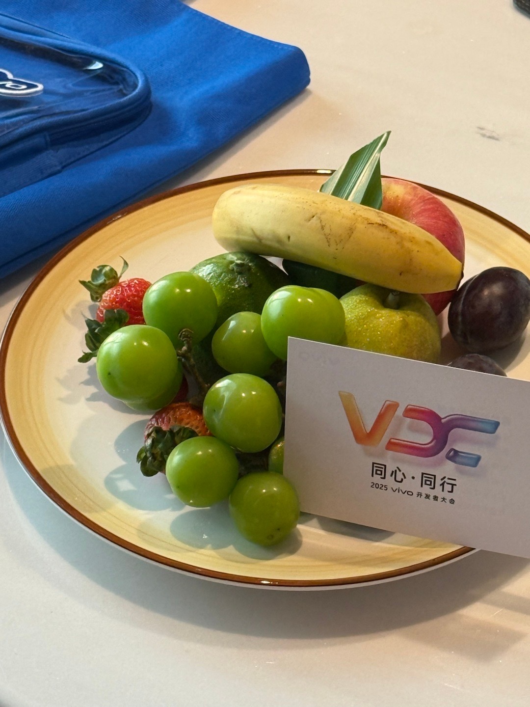 到站！[yeah]来看2025 vivo开发者大会咯[酷]这次伴手礼还有个蓝心小