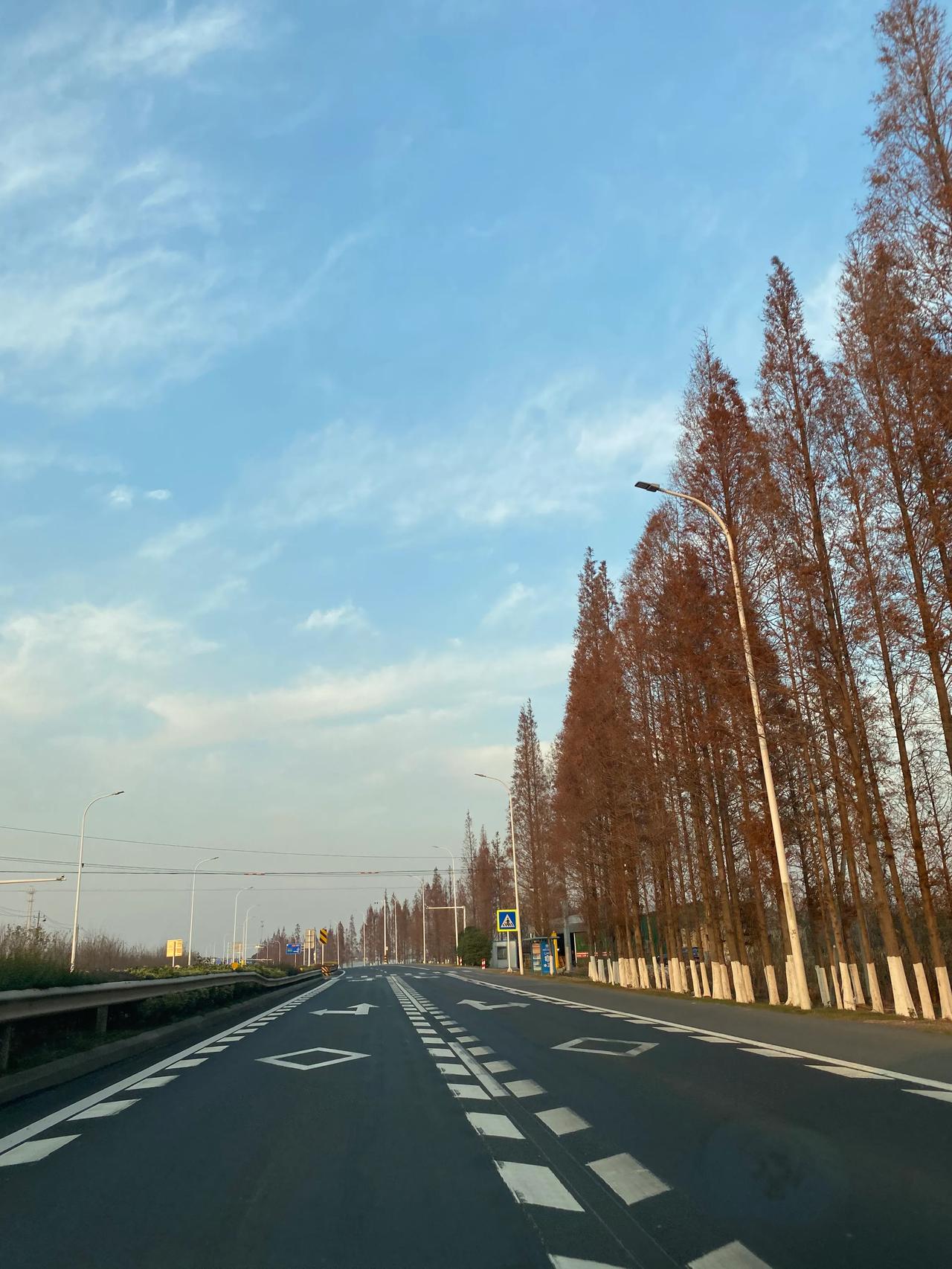 小时候看中央台一个节目《半边天》，已经是20多年前了。里面有一集采访了一个农村女