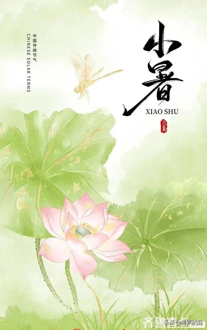 《七律·小暑》
（2026.7.7）

节逢小暑昼初长，
溽气熏蒸漫野塘。
高柳
