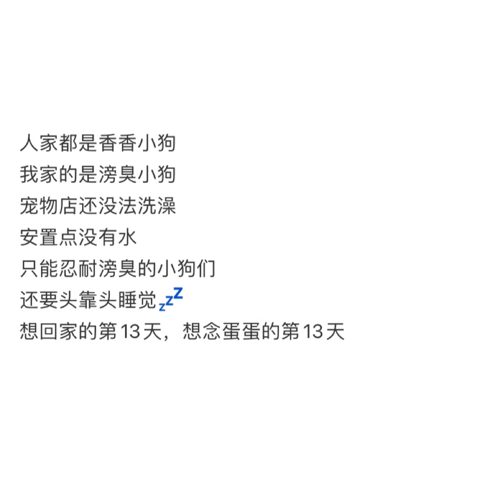 经历洪水后，小狗开始寸步不离[悲伤] ​​​