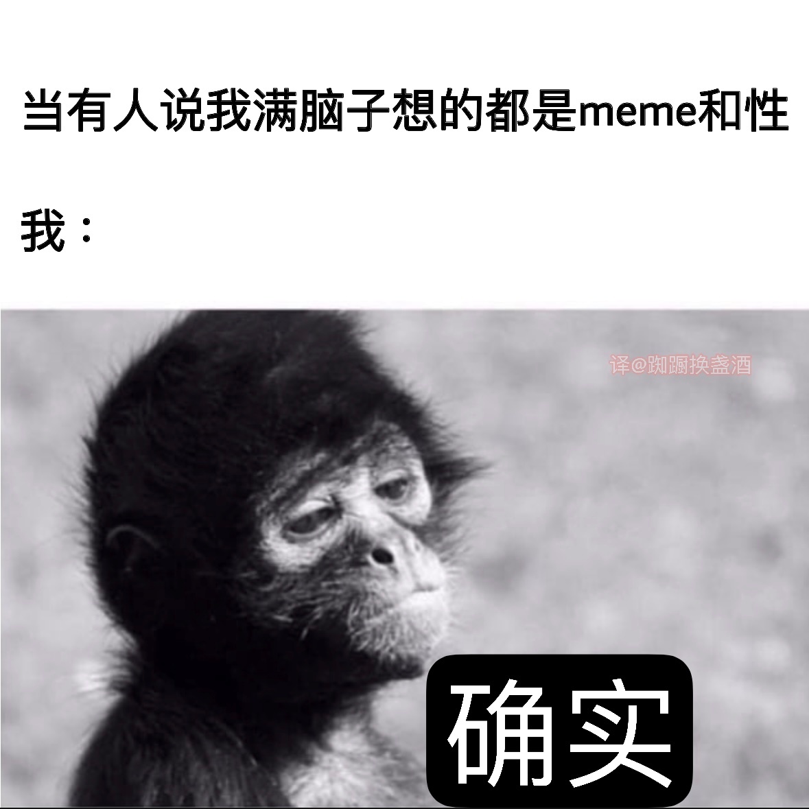 净说大实话#meme# ​​​