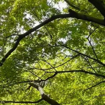 每日一善阳光信用 点滴善意, 汇聚成河, 滋养心田, 让爱传递不息！ 