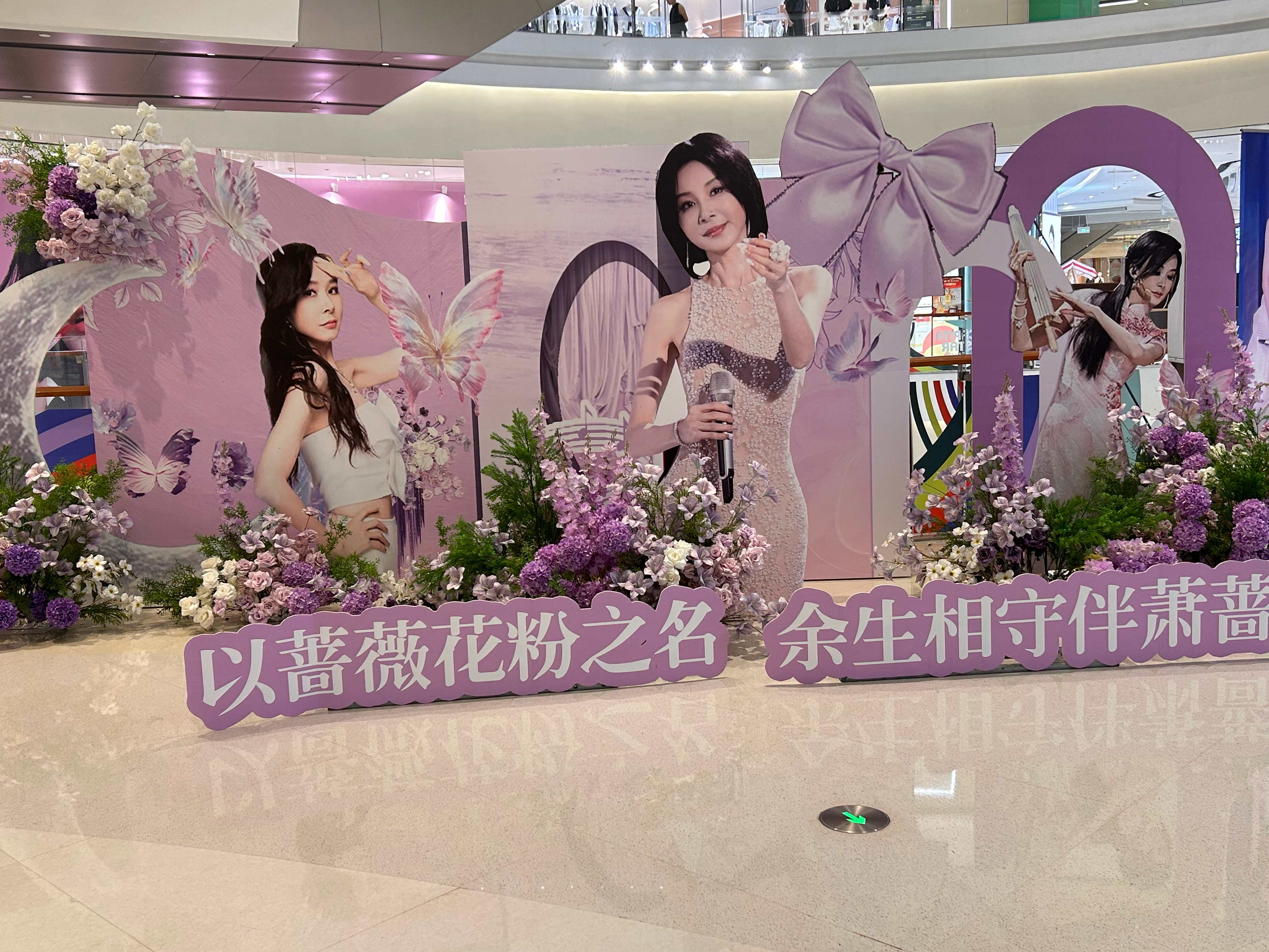 偶遇枣糕世界 