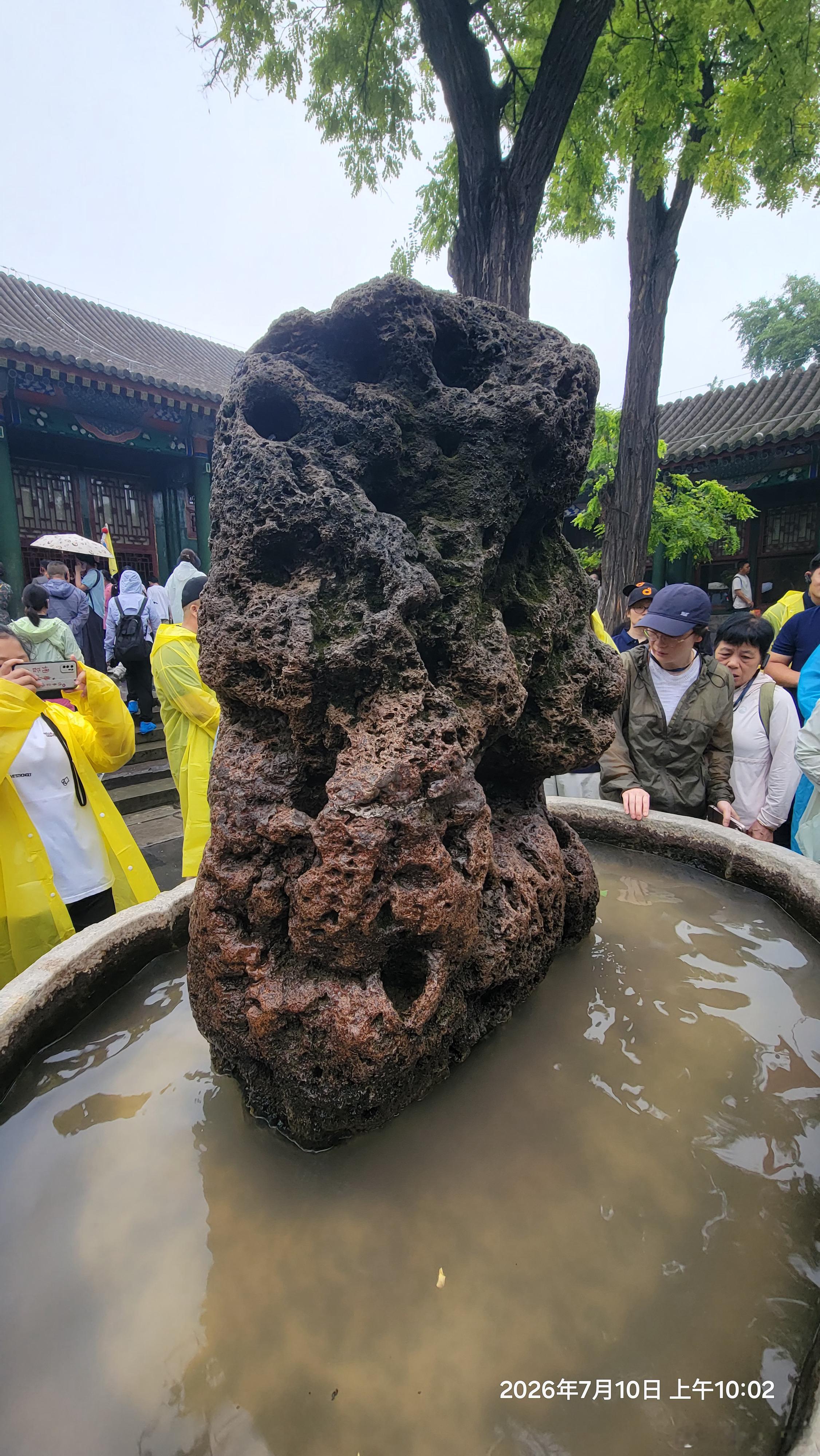 盛夏骤雨倾落，和团队相约游览恭王府🌧️正所谓一座恭王府，半部清代史。烟雨浸染朱