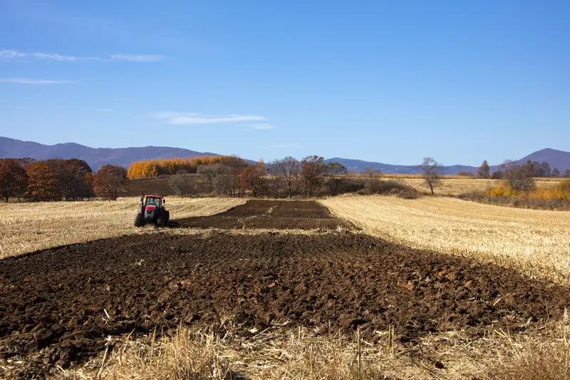 不是消极的坐以待毙，是带着耐心的深耕：