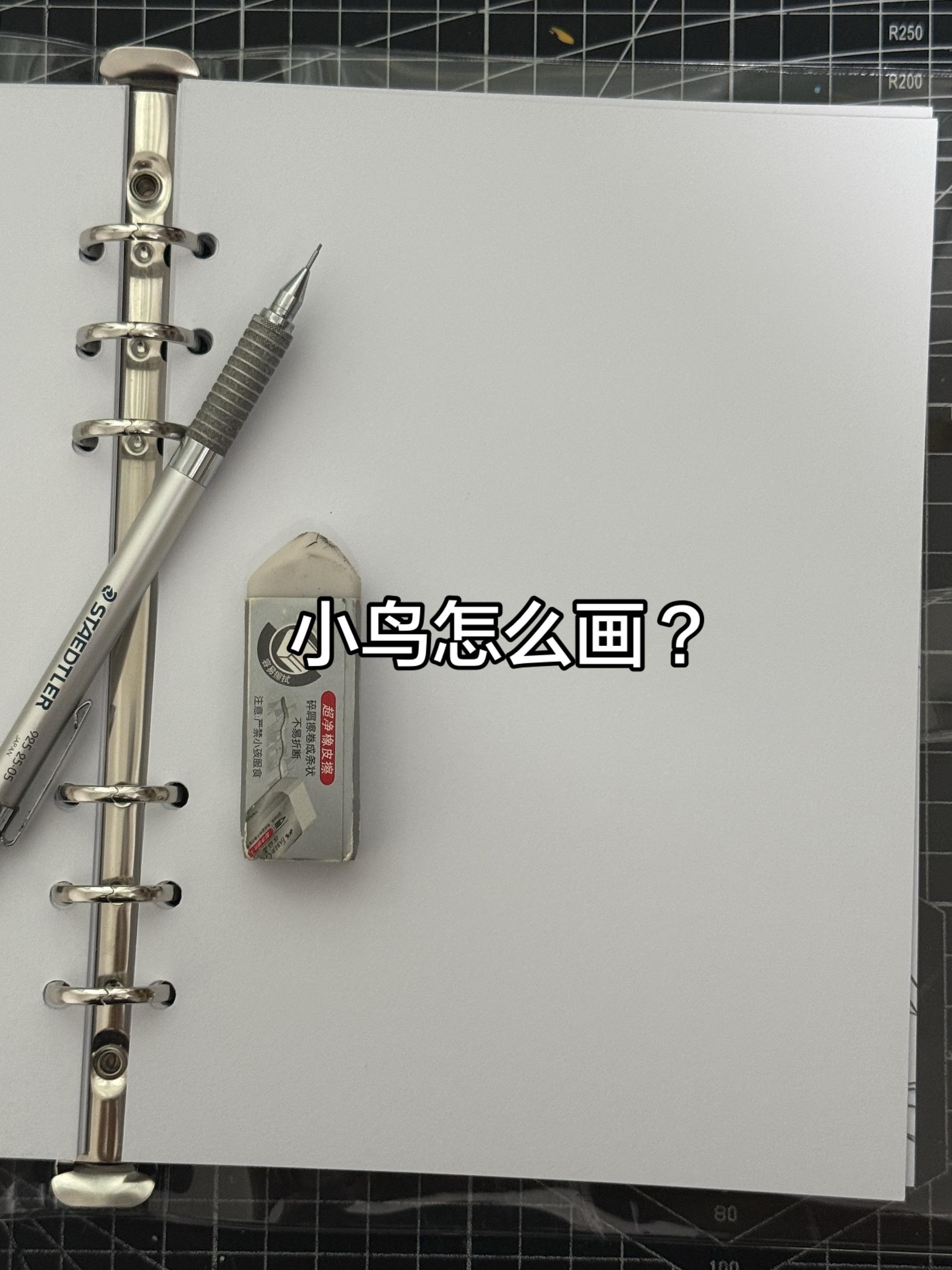 教你如何画小鸟 ~🐦