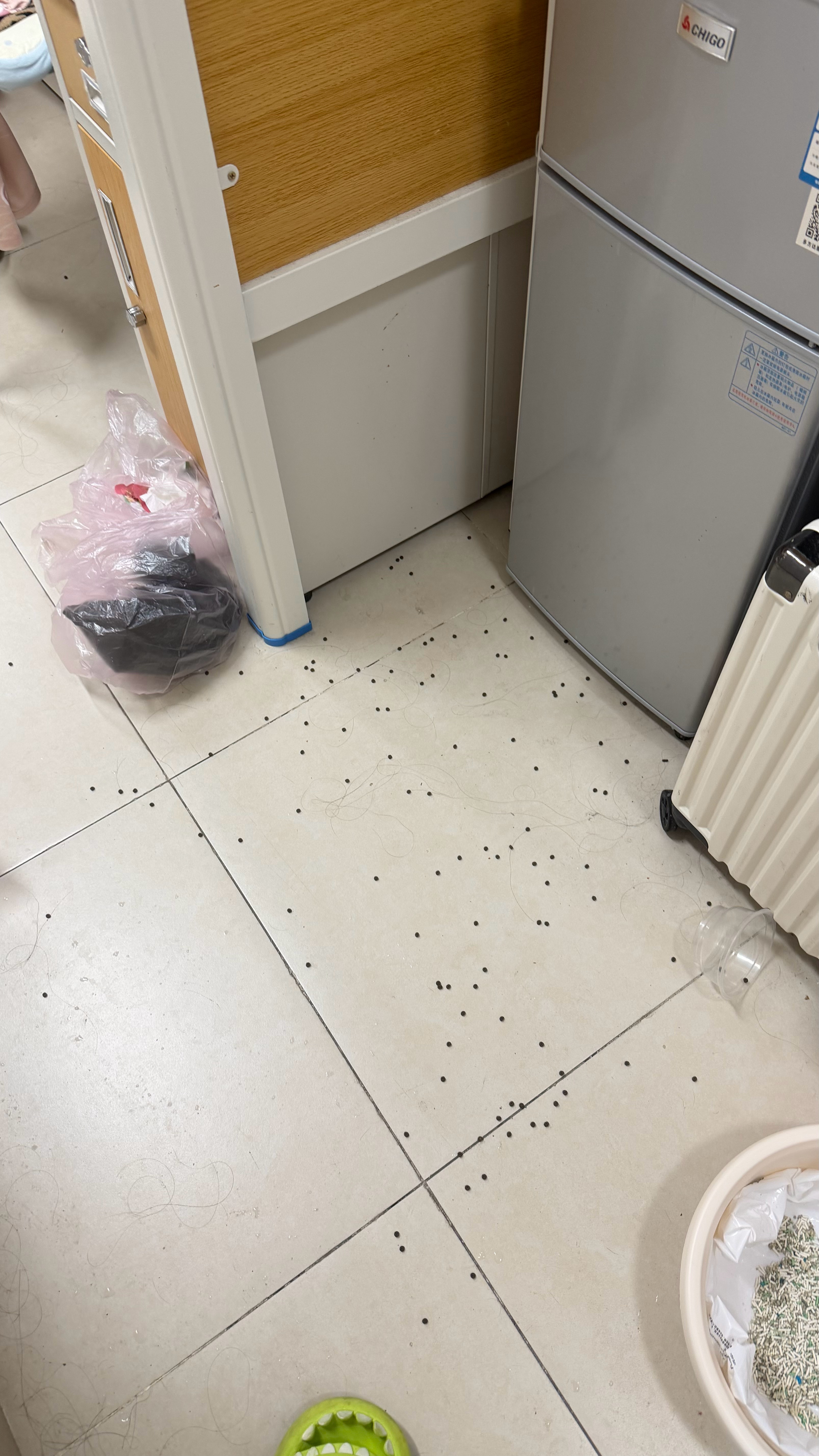 人 你闯祸了 你把咪的猫粮撒地上了 不过咪是个扫地机器喵 自己吃干净了哈哈哈哈哈
