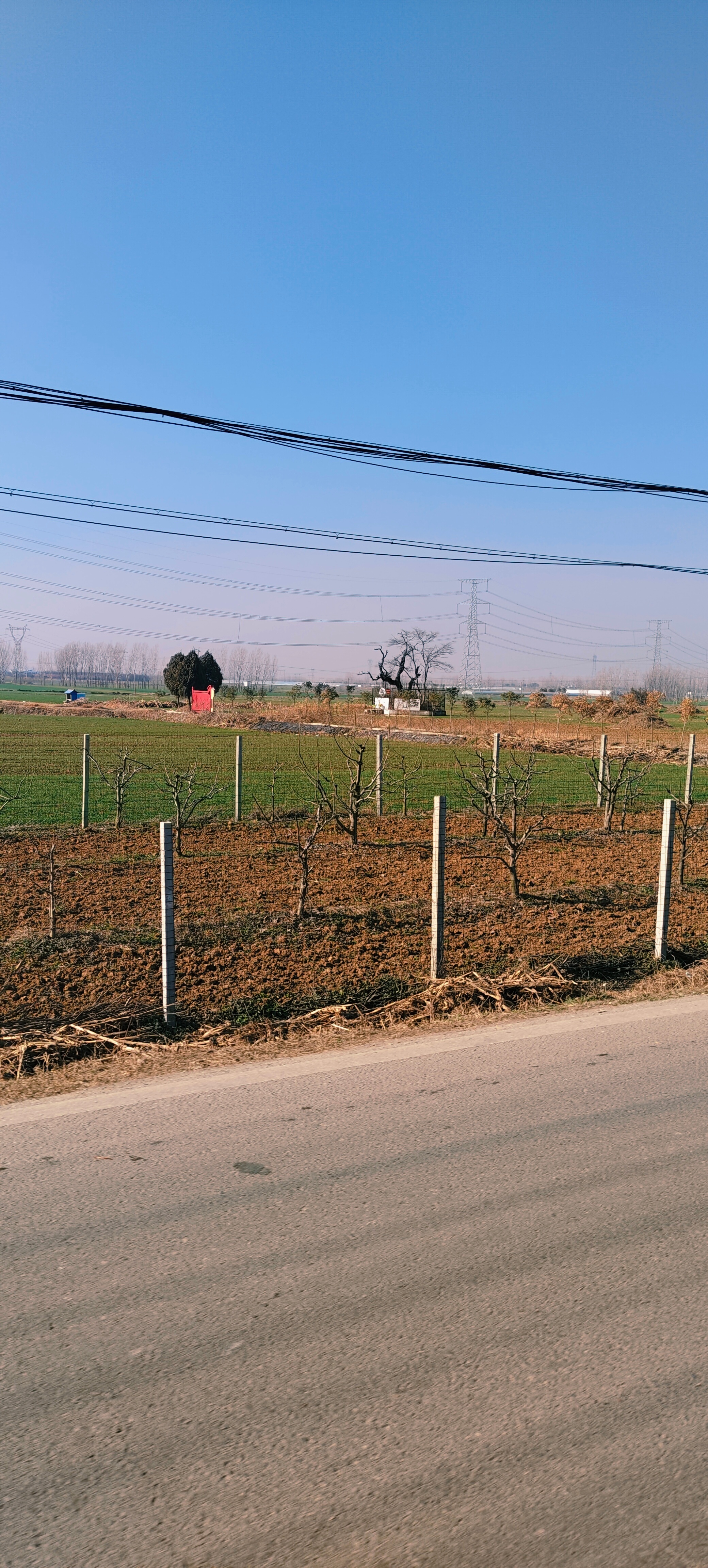 春节摄影大赛 回家的归途，是游子心灵归期… 