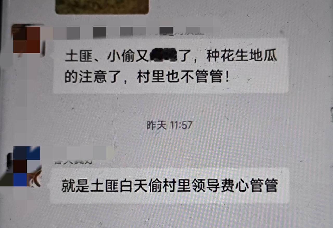 现在正是即墨区花生、玉米、地瓜等农作物收获的季节，也是偷粮贼最活跃的时候！这些偷