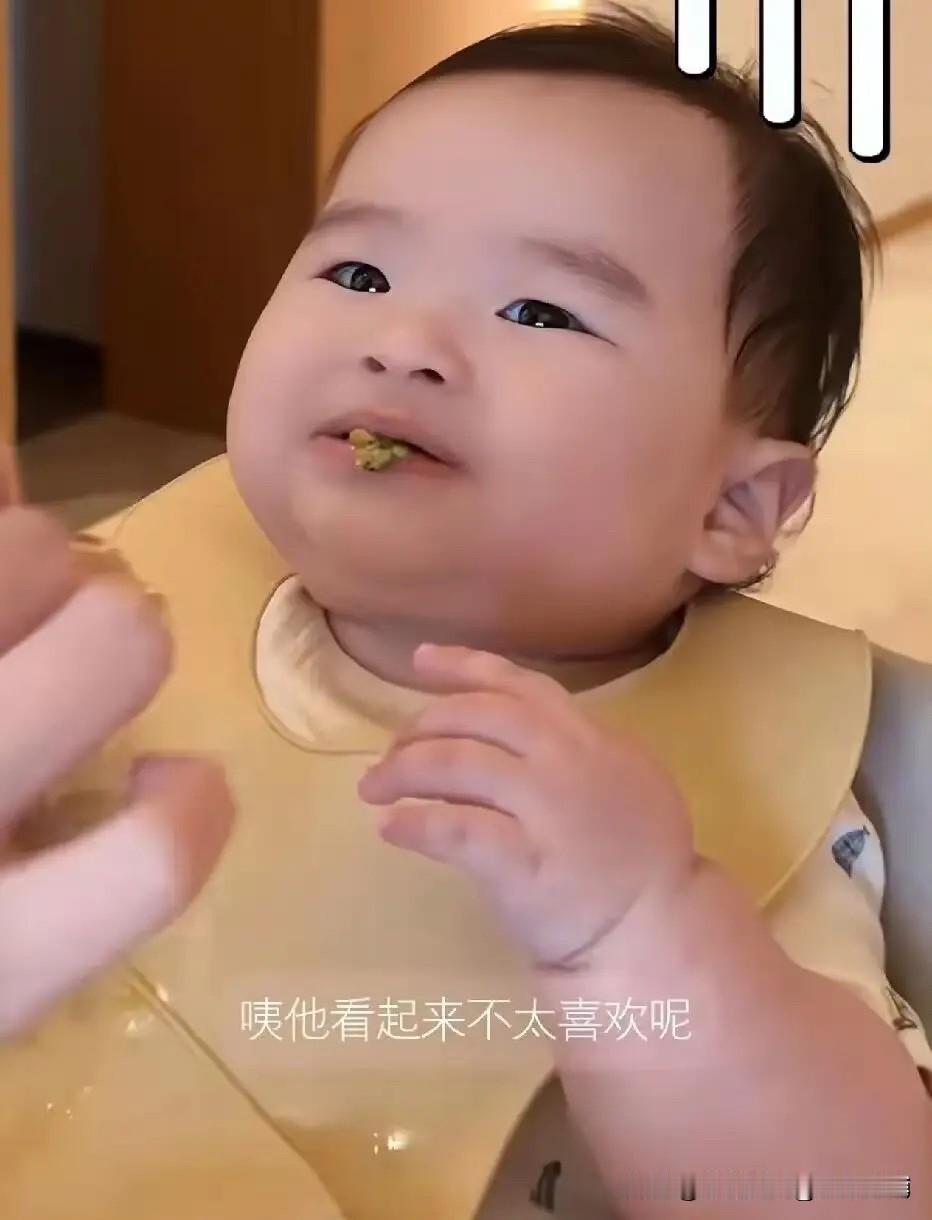 小梅最近在直播里聊起小汪宝的日常，说这孩子现在是越来越挑食了。有时候外婆帮忙喂辅