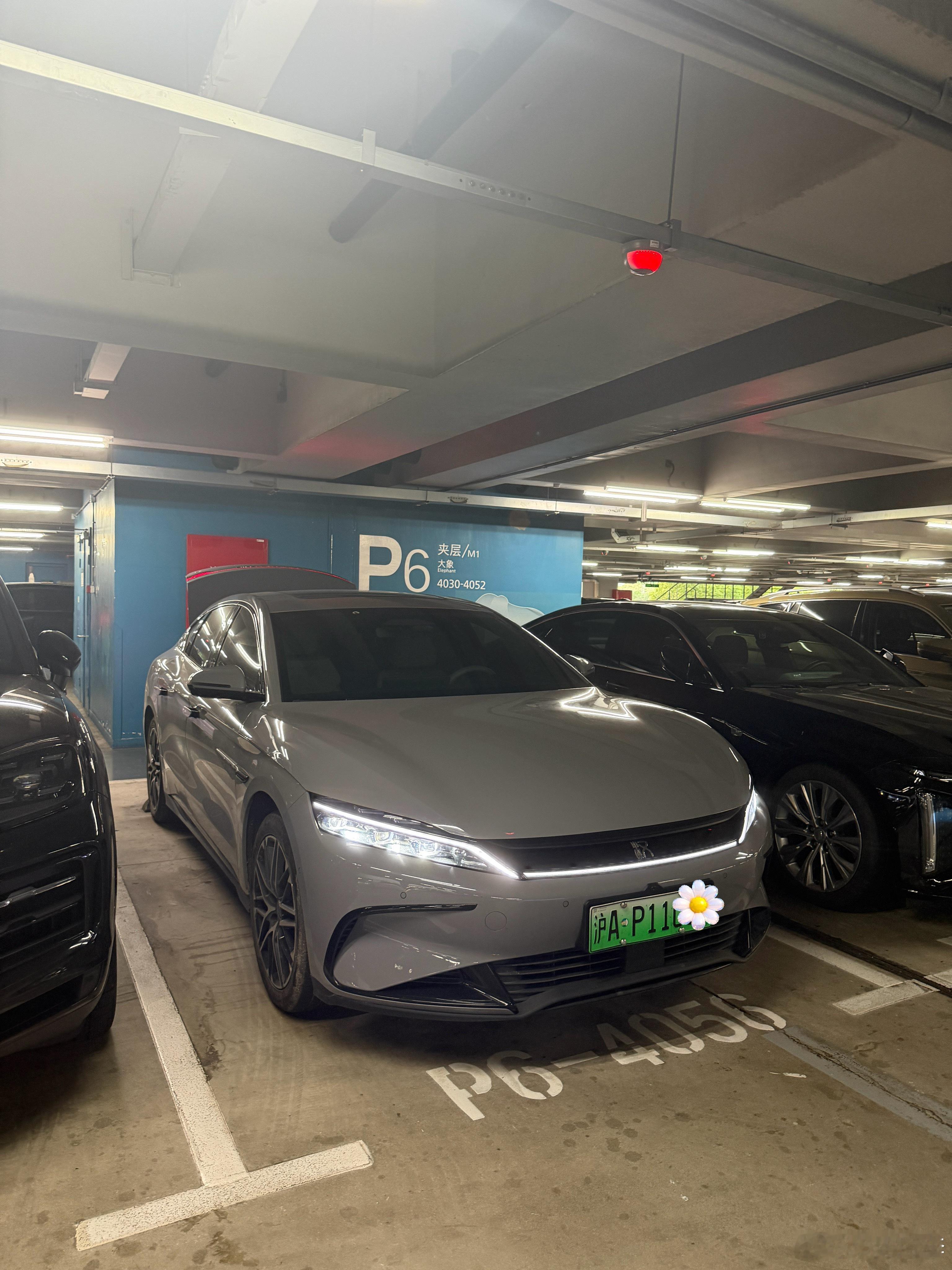 好消息：打到灰色的比亚迪汉挺少见坏消息：它是台挺常见的臭车🤮吐了  ​​​