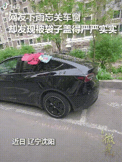 小伙忘记关车窗了，可是车里没淋雨！

辽宁沈阳人挺善良的！都火到了《人民日报》！
