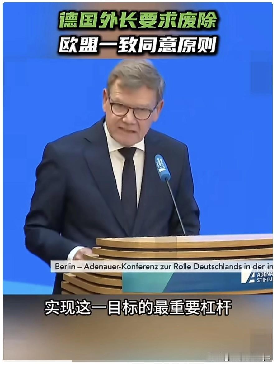 5月6日，德国外长瓦德富尔在柏林举行的第十三届康拉德·阿登纳基金会上表示，“我们