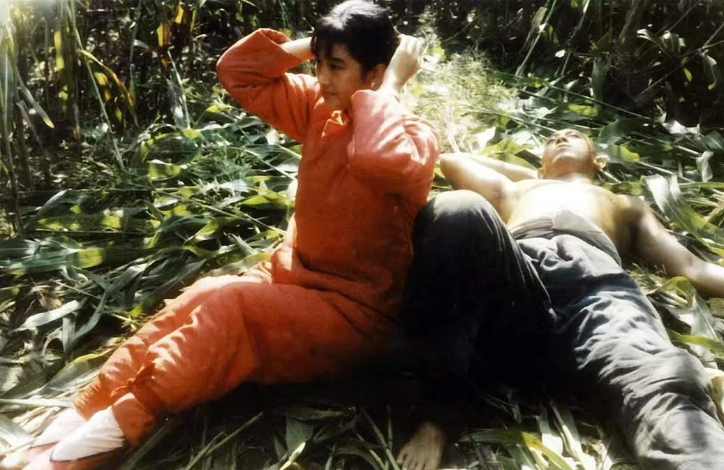 由莫言的小说《红高粱》改编的歌剧，已经完全脱离了原著，不变的只是主角的名字和故事