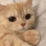 俊楠热聚时尚