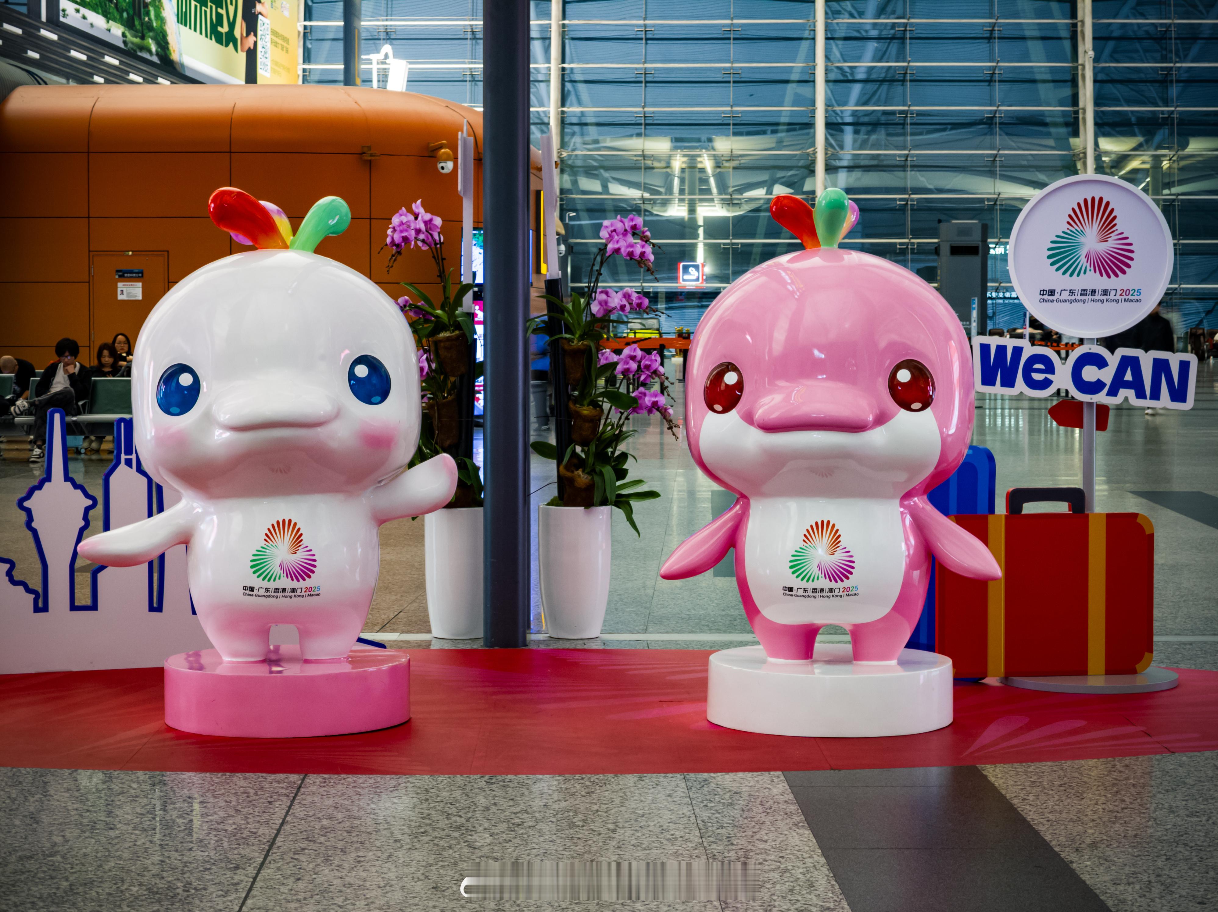 早安，大湾鸡～ 广州·广州白云国际机场T1航站楼