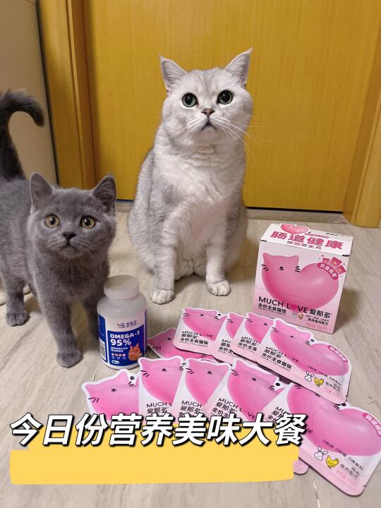 给小宝们来一顿营养大餐吧