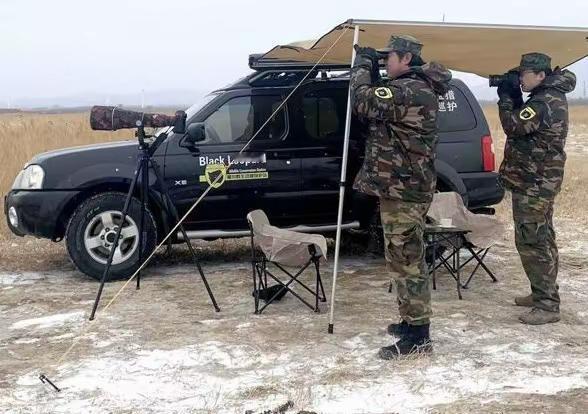 官厅区域迁徙候鸟24小时救援。官厅 官厅水库 候鸟迁徙 观鸟