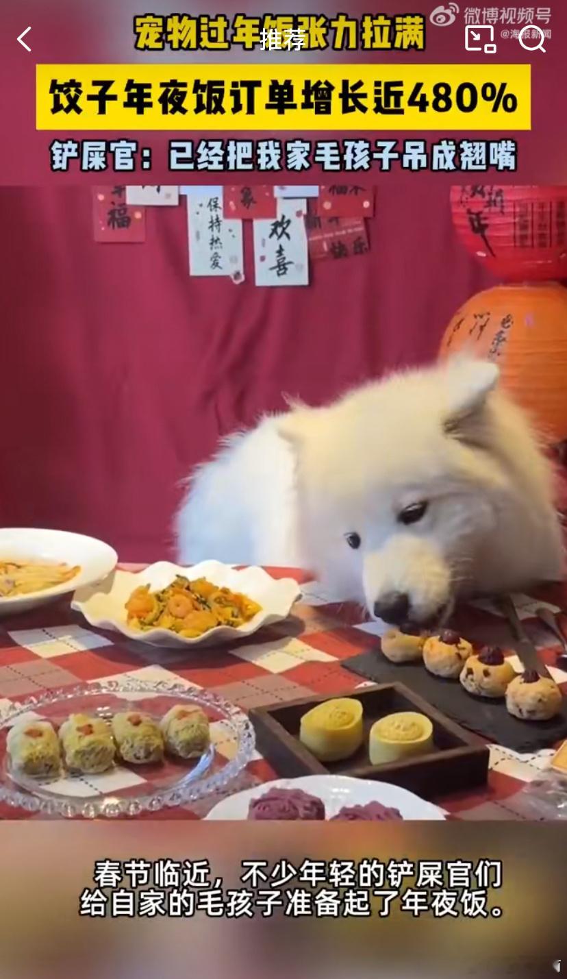 我朋友给家里毛孩子准备了丰富的饺子年夜饭！这不，宠物年夜饭火得很，订单蹭蹭涨，江