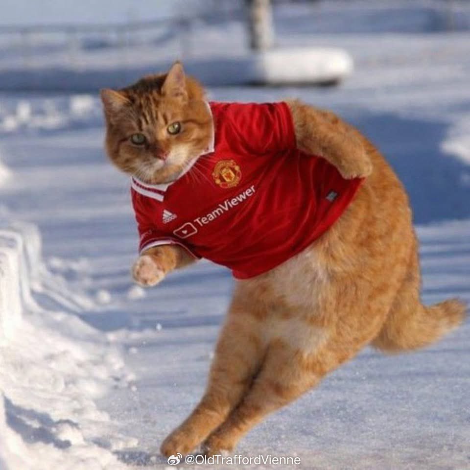 布鲁诺—————》传谢什科—————》 顶 