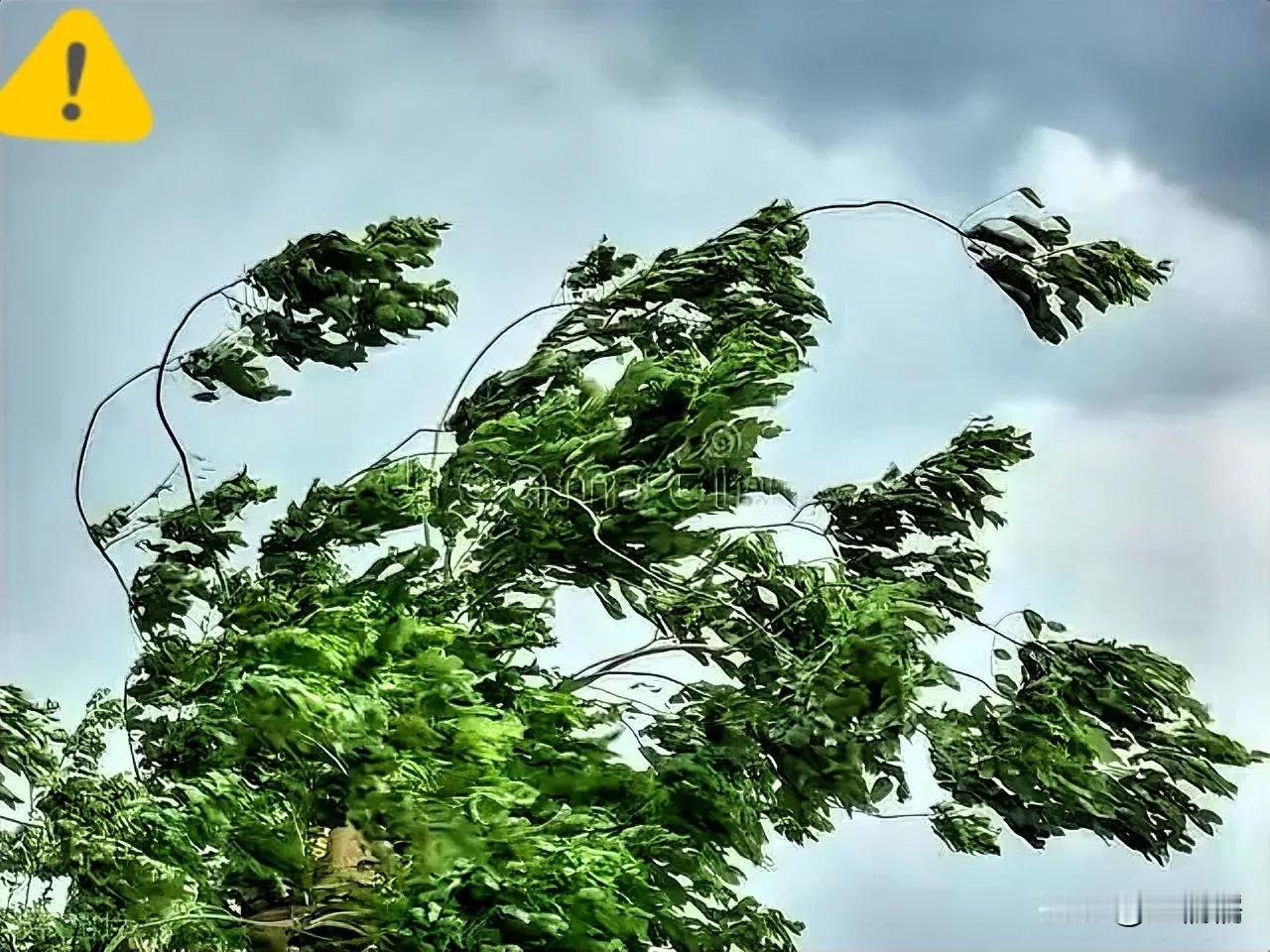 对下联：
原上联：雨打芭蕉声声翠
对下联：风吹树叶沙沙响
[祈祷][祈祷][呲牙