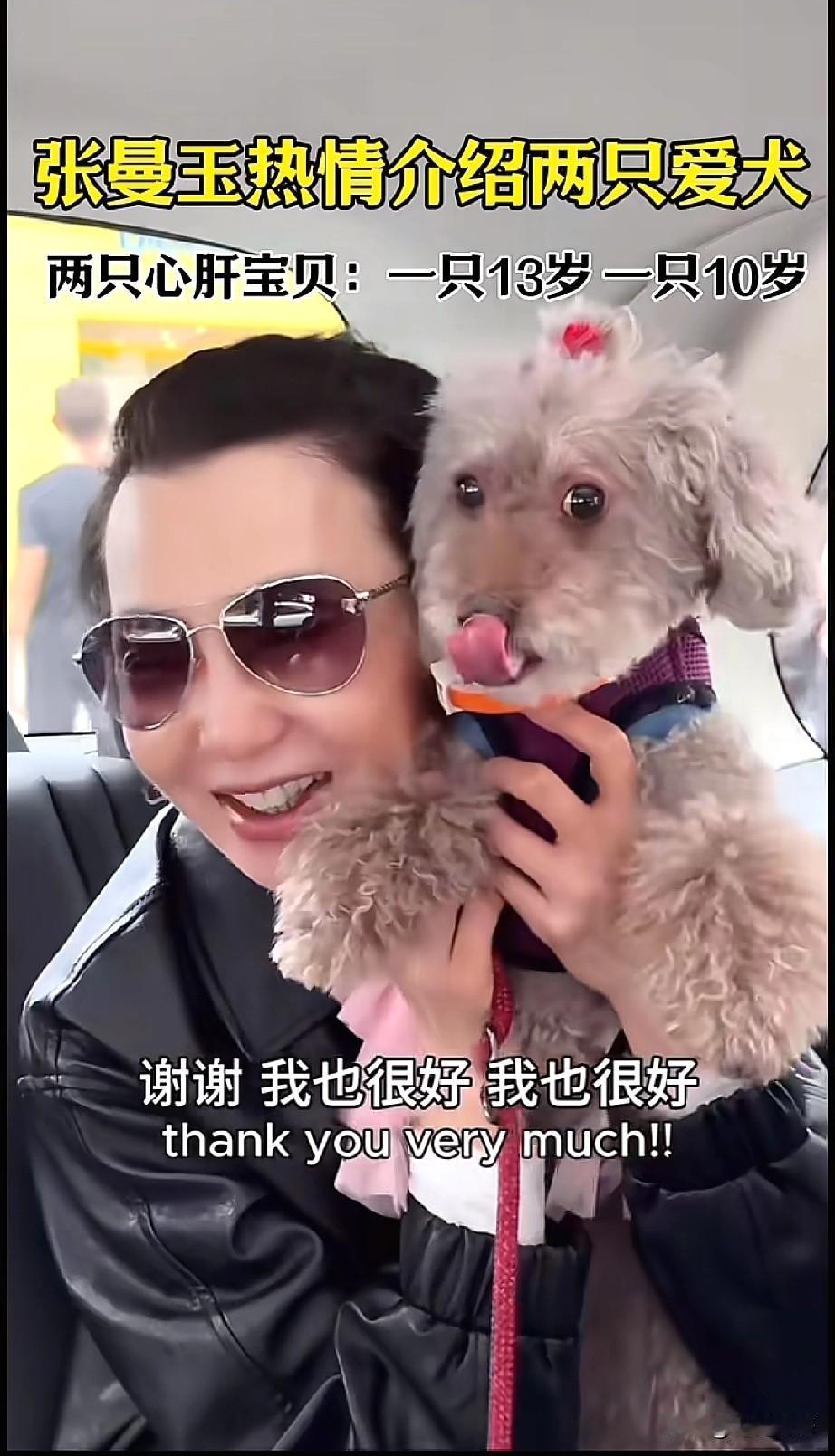 张曼玉如此喜欢毛孩子，这是第一次知道，也是第一次看到，发现一个有趣的现象，越是一