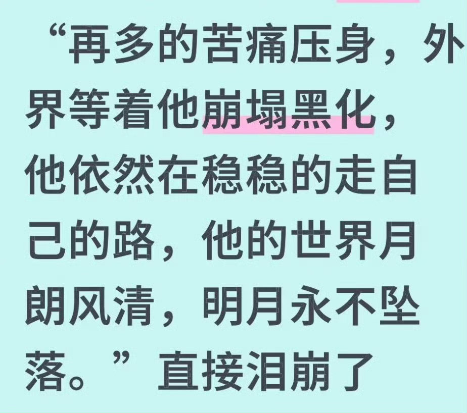 看到一张图看似说的是南珩，实在更像是在说刘宇宁 ，他真的有很强大的内核！ 