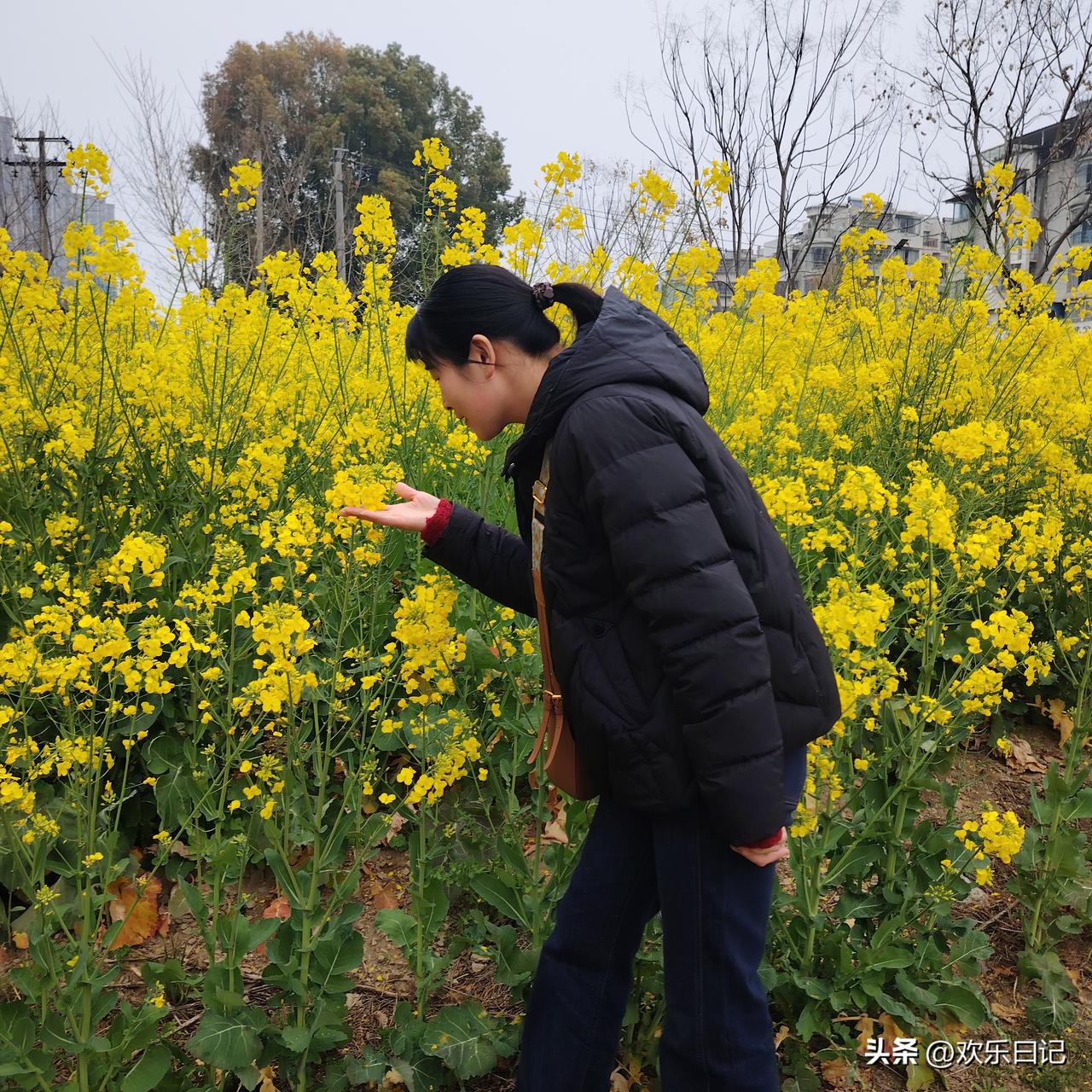 38岁，研学那天女儿没来找我

研学去了两天，回来了。

先说说结果——她俩谁也