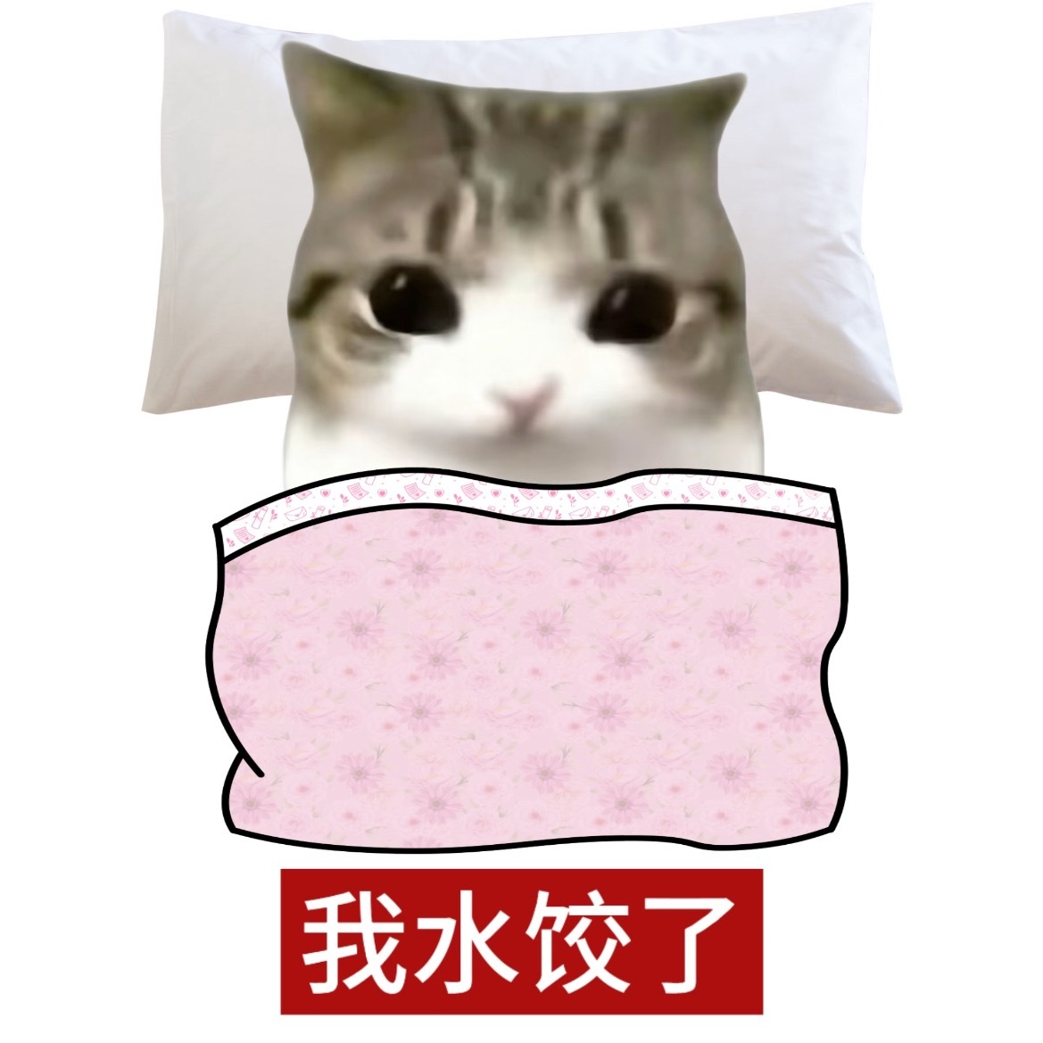 真的要睡了，这一天太糟糕了，希望明天一觉睡醒可以看见我父神母神发糖 