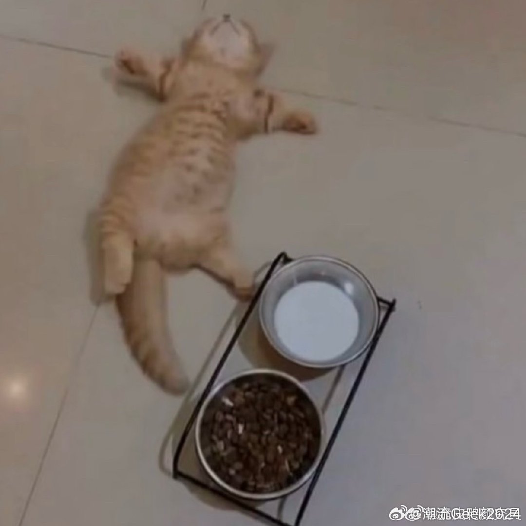 分享图片 （