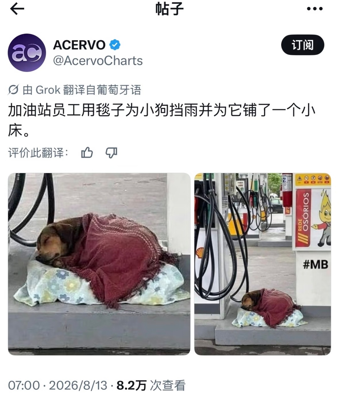 我上网就是为了看到这些啊… 