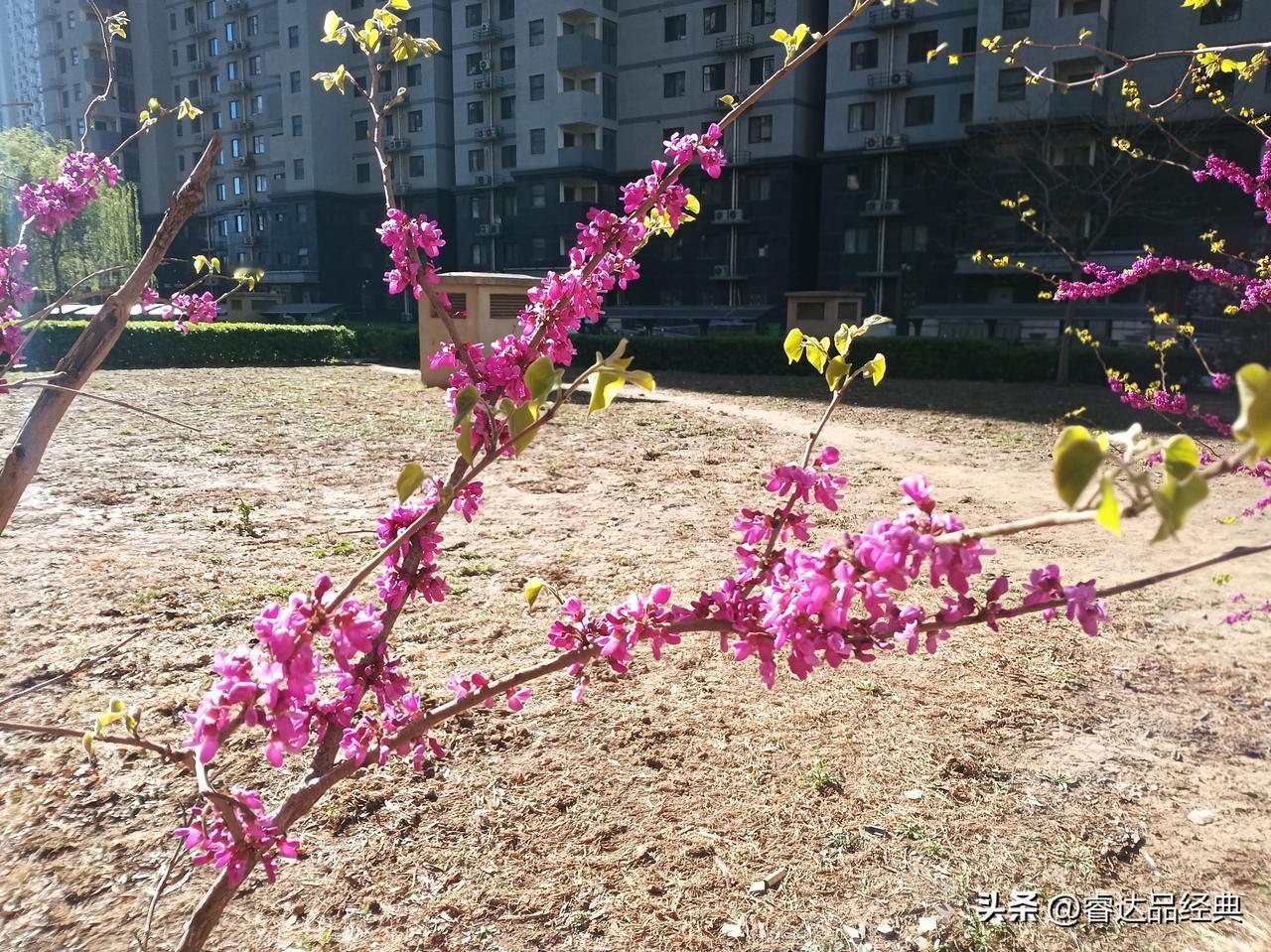 站桩有各种情绪升起,怎么办?站桩125日，30分钟，浑元桩！感觉极好，与昨日大体