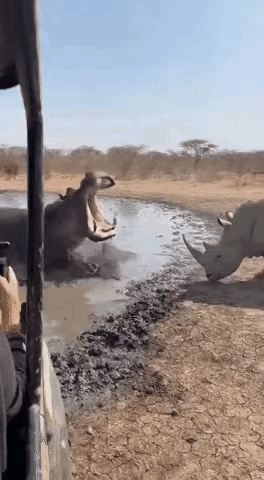 你更看好谁？😁