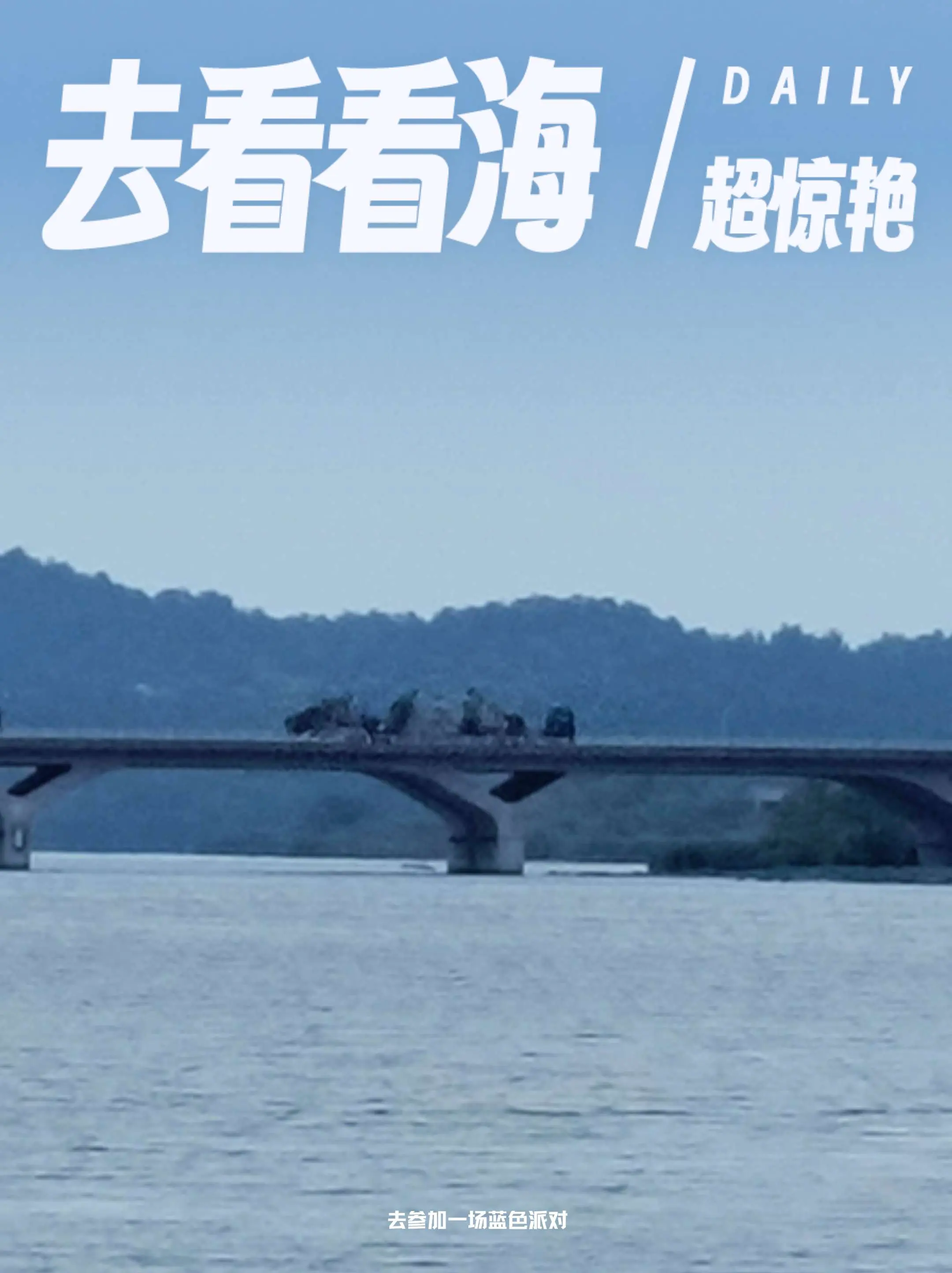 湖是卧龙湖，花是岸边荷，风里有了秋天的味道。