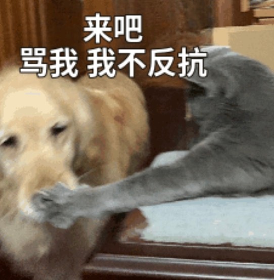 我是不是凉了，好几天没人骂我了，不应该啊。你们多来骂骂我，让我有点存在感