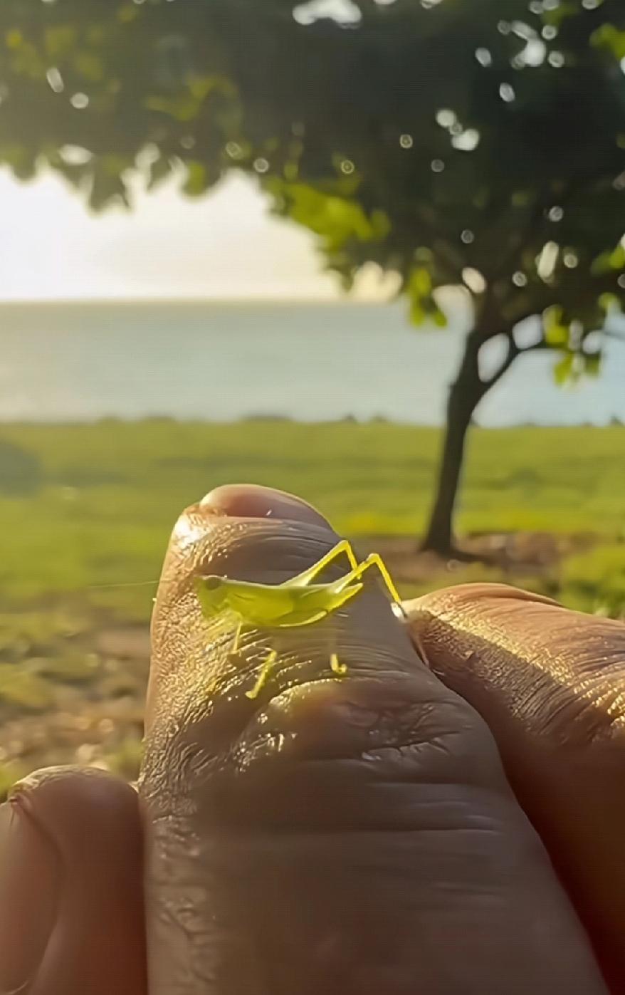 你认为人幸福不幸福取决于什么安然于一本好书、一个长夜和一杯热茶的宁静生活，对于人